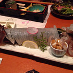 暖 - 活スルメイカ姿造り