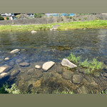 道の駅 したら - 