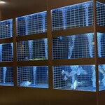 眉州东坡酒楼 - 