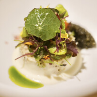 restaurant.m - 