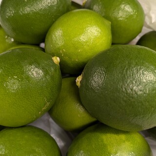 니혼바시 닌교초 케야키