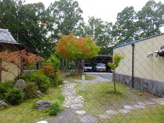 Sarubi No Onsen Kunugiya - 店内から景色　紅葉し初め(2014.10月)