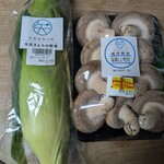 道の駅 ひがしかわ 道草館 - 料理写真: