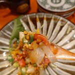 コンペイトウ - 