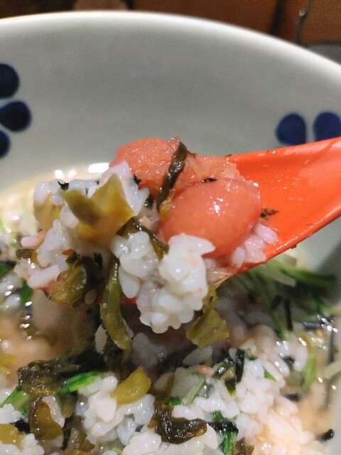 Dashi Chazuke En Narita Kuko Ten - Narita Airport Terminal 1