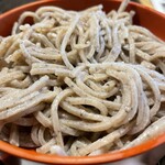 中国山地蕎麦工房 ふなつ - 灰色、短め