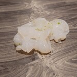 島津 - 北海道のミズダコ