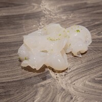 島津 - 北海道のミズダコ