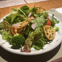 季節のグリーンサラダ