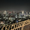 RESTAURANT LUKE with SKY LOUNGE - 