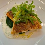 イルクオーレ - 鮮魚のグリル　サルサヴェルデとスパイシーヨーグルト