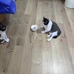 Queen's Mart ヤオマサ - 刺身を食べてみた