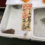 Queen's Mart ヤオマサ - 店内