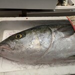 Queen's Mart ヤオマサ - 店内