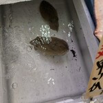 Queen's Mart ヤオマサ - 店内