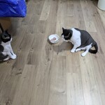 Queen's Mart ヤオマサ - 刺身を食べてみた