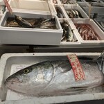 Queen's Mart ヤオマサ - 店内