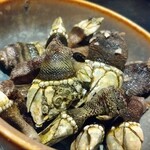 おいでやす　おおきに屋 - 