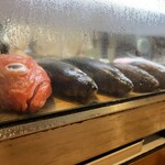 小魚料理 とみ助 - 