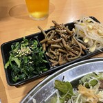 鳥焼肉 鳥ひびきちゃん - ナムル3種盛り