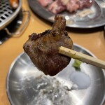 鳥焼肉 鳥ひびきちゃん - 