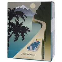 トッロ トレビアーノ　（グラス）