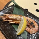 さくら 鳥居坂 - 