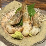 いたる - ガス海老 刺身