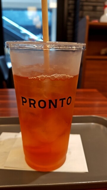 PRONTO Kyotoekibiruten