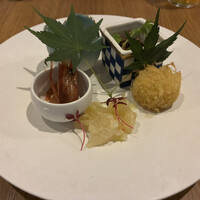 NOGI - 