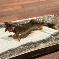 炭Kappo hirac - 