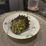 オマッジオ ダ コニシ - 