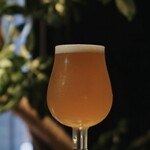 クラフトビール×チーズ＆肉バル Rotie - 