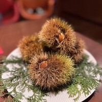 スガラボヴィー - 