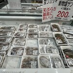 ノムラ - いろんなイカ（加熱用）が並んでました