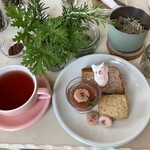 Couleur - 晴れた日にこんな優雅な時間が過ごせたら、、