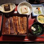 うな菊 - 菊御前　1尾