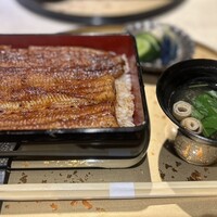 うなぎ 目白ぞろ芽 - うな重（共水）7,300円