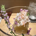 熊本 京都 鮨まつもと - 