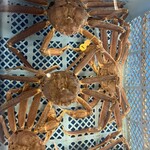 越前がに やまに水産 - 