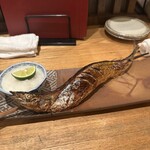 夜ノ焼魚 ちょーちょむすび - 