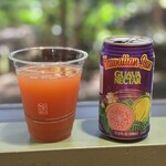 IASS HAWAII LOUNGE - ドリンク写真:グアバネクター