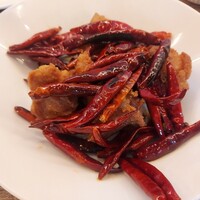 CINA New Modern Chinese - 