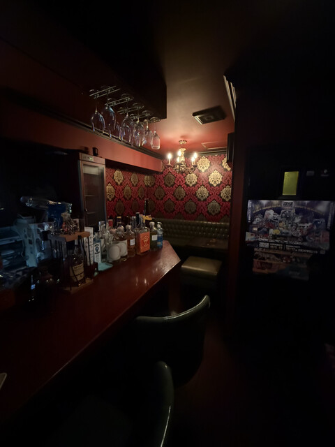 Carcharodon Carcharias photo 5