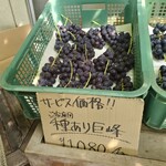 秀果園 - 秀果園は長野県で最初に巨峰を栽培したレジェンド