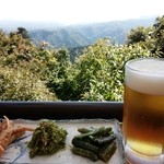31948174 - 山菜盛り合わせ、生ビール