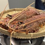 鍋・海鮮居酒屋 伊勢海老 たくと 大阪本町店 - 