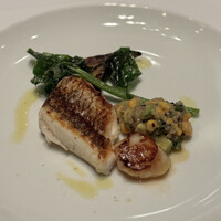 THE COSMOPOLITAN GRILL BAR TERRACE - 