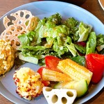 ビュッフェダイニング hal - サラダ