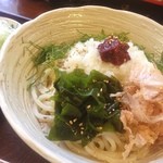 Sarashina - 梅おろしうどん。
                        
                        明日から寒くなるって事で、今年最後かもしれない冷やぶっかけうどんです。
                        
                        大きめの潰した梅が酸っぱい！けど美味しい！